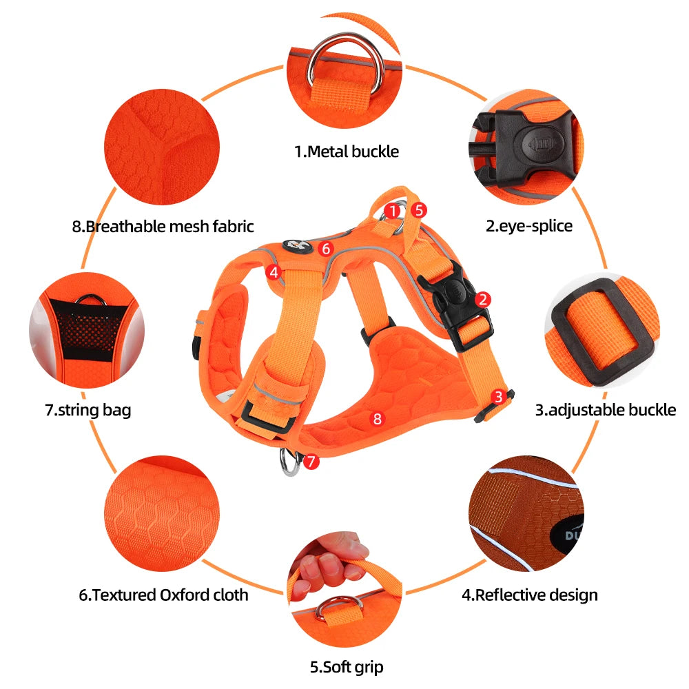 S062b83dbc4ce4669ae6e1bcbdcc7b2a0S