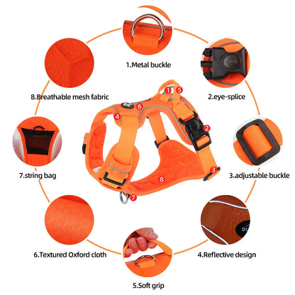 S062b83dbc4ce4669ae6e1bcbdcc7b2a0S