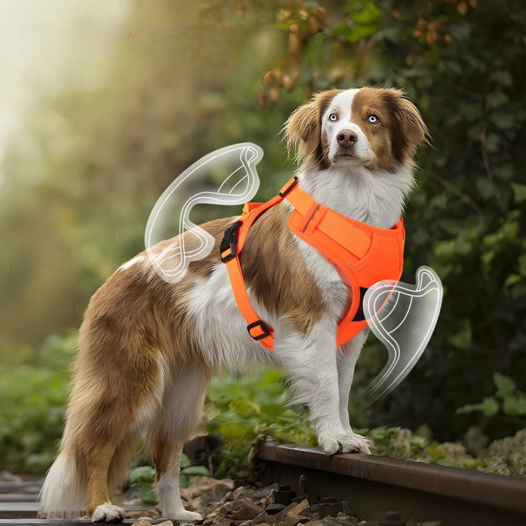 No-Pull Reflective Dog Harness